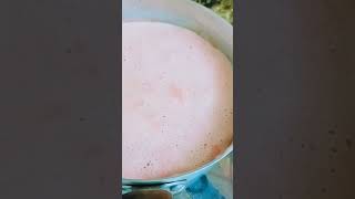 Kashmiri chai recipe pink tea recipe restaurant style pink tea asaankhana shorts youtubeshorts [upl. by Nwahsyt]