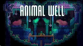 what to expect from ANIMAL WELL [upl. by Ameluz905]