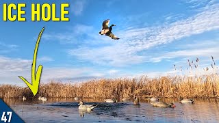 FIRST Ducks of 2024  Solo Duck Hunt over an ICE HOLE [upl. by Ferneau]