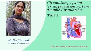 TransportationCirculatory system in humans  Double Circulation  Part 1  Life processes Class 10 [upl. by Bricker627]