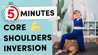 Aerial Yoga 5 MINUTE Class for Core Shoulders amp an Inversion [upl. by Atelra816]