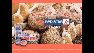 Artisan Bread in 5 Minutes—Boule Technique [upl. by Doty435]