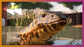 🔴 Monitor Lizard Underwater Viewing  Planet Zoo Live Stream Archive [upl. by Carbrey]