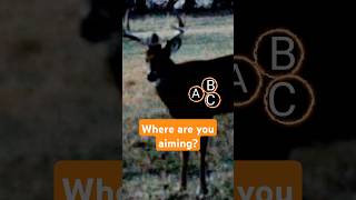 Shot Placement Thursday Where are you aiming new reels deer deerhunting [upl. by Tibbs676]