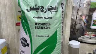 Amunium sulfate granular fertilizer for crops  Rechage plus Alnoor agro  NS fertilizer Kissan Ghar [upl. by Goddard186]