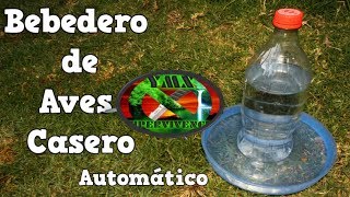 Bebedero Para Aves Automático Y Casero en 5 MINUTOS  TUTORIAL  YMX SUPERVIVENCIA [upl. by Onaicul]