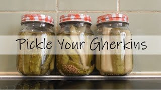 Pickling amp Preserving🥫Pickle Your Gherkins [upl. by Randell73]