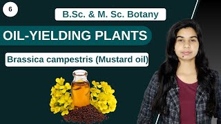 Economic Botany  OILYIELDING PLANTS Brassica campestris Mustard oil  B Sc amp M Sc [upl. by Aimik548]