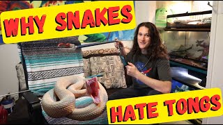 Why Snake Tongs are TERRIBLE for Venomous Snake Handling Hooks Vs Tongs 🐍 Herpin Hippie [upl. by Lorak]