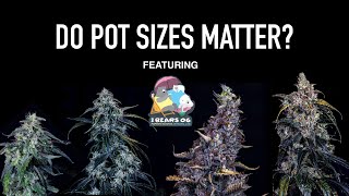 How Do Pot Sizes Affect Your Autoflowers [upl. by Corri]