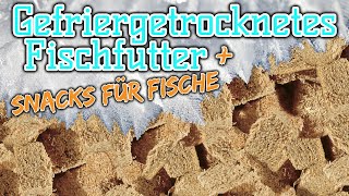 Snacks für deine Fische  Gefriergetrocknetes Fischfutter  Hafttabletten  Gelfutter  Plankton [upl. by Shyamal]