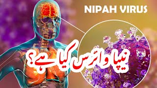 NIPAH virus red alert نیپا وائرس کیا ہے؟ [upl. by Benyamin]