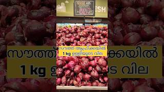 Price of the Onion in South Africa Johannesburg [upl. by Charlot100]