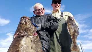 Halibut Catch amp Cook  Catching Halibut with Light Tackle 1000000 flounders [upl. by Lebam]