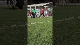 Eymen Gültepe Gölcükspor🧤 2012 Sertansaralkaleci goalkeeper keşfetteyiz fenerbahçe [upl. by Ortrud]