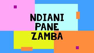 Learn to play NDIANI PANE ZAMBA on keyboard [upl. by Nnyltiak]