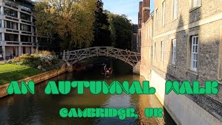 Cambridge walking tour the Backs Jesus Green Portugal Place Market Square Mathematical Bridge [upl. by Danice329]