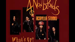 4 NON BLONDES ACAPELLA STUDIO WHAT S UP [upl. by Nylekoorb632]