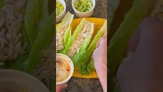 Turkey Apple Lettuce Wrap [upl. by Forest]