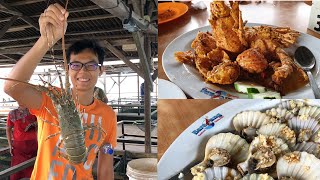 Batam Live Kelong Seafood amp Full Day Tour of Harris Barelang Batam Beach Resort  Indonesia [upl. by Danialah252]