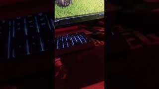 How to change the brightness of your razer cynosa chroma [upl. by Anirec989]