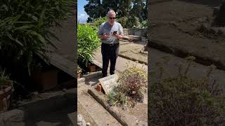 Kaddish at the gravesite of Harold Gomberg [upl. by Kleeman]