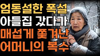 엄동설한 폭설에 어머니를 집 밖으로 쫓아낸 아들 며느리에게 복수한 어머니  인생  사연  오디오북 [upl. by Mandell]