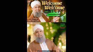 Owais Raza Qadri  Welcome Welcome Mustafa  Status Clip  New Kalam  2024 [upl. by Elsi341]