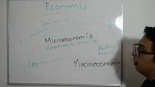 13 Microeconomía y Macroeconomía [upl. by Mccurdy277]