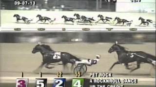 Pet Rock  Jim Ewart Memorial  Scioto Downs  World Record [upl. by Gonzalez]