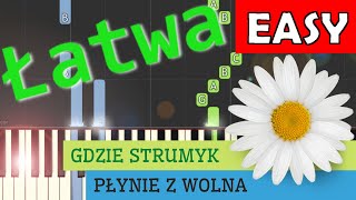 🎹 Gdzie strumyk płynie z wolna Stokrotka  Piano Tutorial łatwa wersja 🎵 NUTY W OPISIE 🎼 [upl. by Aidaas]