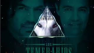 LOS TEMERARIOS MIX EDICIÓN 1 [upl. by Yeldoow744]