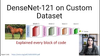 DenseNet121 Implementation on Custom Dataset  DenseNet [upl. by Notniuq652]