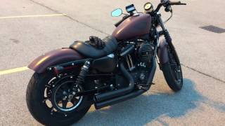 Iron 883 with Cobra exhaust 2017 Harley Davidson Iron 883 Cobra Speedster Short 909 [upl. by Marius81]