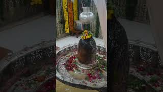 🙏🏻✨📿 महादेव 📿✨🙏🏻instagram love bhajan kedarnath live youtube youtubeshorts om omg mahadev [upl. by Eindys627]