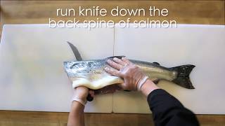 How to Fillet a Wild Alaska Salmon [upl. by Coralyn]