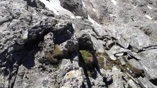 Aufstieg zur Goldbergspitze 3073m  Großes Zirknitztal  Hoher Sonnblick im August 2016 [upl. by Mcspadden]