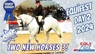 EQUIFEST 2024 PART 2 COBSHUNTERSCONCOURS  NEW HORSES [upl. by Eirrot]