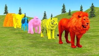 Long Slide Game With Elephant Gorilla Buffalo Hippopotamus Tiger  3d Animal Game  Funny 3d Animals [upl. by Ormond]