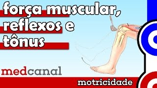 Força Muscular Reflexos e Tônus  MOTRICIDADE [upl. by Asiel]