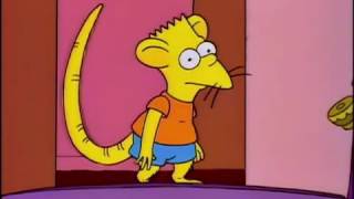 The Simpsons  Rat Boy [upl. by Nauqe]