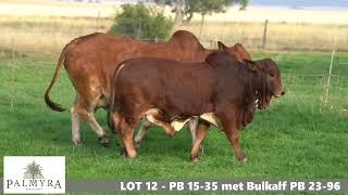 LOT 12 PB 15 35 met Bulkalf PB 23 96 [upl. by Youlton]