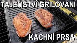 Jak na kachní prsa na grilu [upl. by Anirtal]