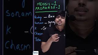 Meiosis1  Prophase1 BIOLOGY NEET  class 11th by MARTIN SIR [upl. by Aikem981]