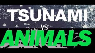 Martin Garrix Animals Vs DVBBS Tsunami [upl. by Nareht]