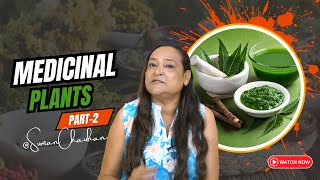 Medicinal Plants Part 2 More Natural Remedies for Your Health [upl. by Lotson]