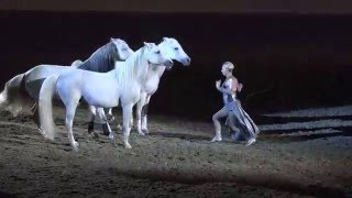 Liberty with 3 horses  Sylvia Zerbini  Night of the Horse 2016  Del Mar National Horse Show [upl. by Hyams]