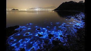 Vaadhoo la playa brillante el Mar de las Estrellas Islas Maldivas [upl. by Toland]