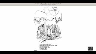 volkswagen jetta A4 diagrama mangueras todas las versiones [upl. by Lore]