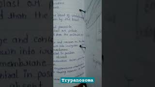 Trypanosoma practical notesBSc fifth semester notespractical noteszbc [upl. by Kuster]